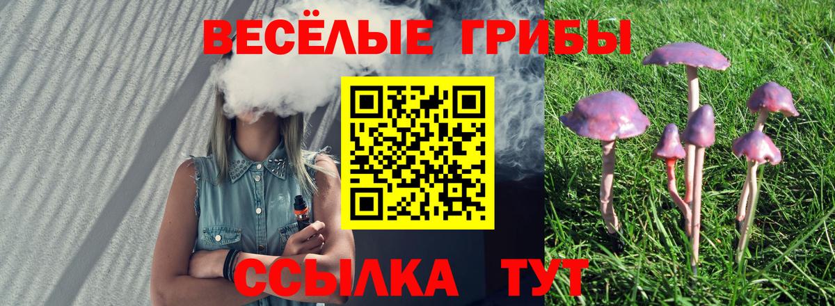 Псилоцибиновые грибы ЛСД Губкинский