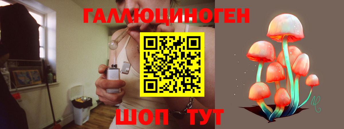 Губкинский  Галлюциногенные грибы мухоморы  Галлюциногенные грибы Psilocybe  Вход с VPN 
